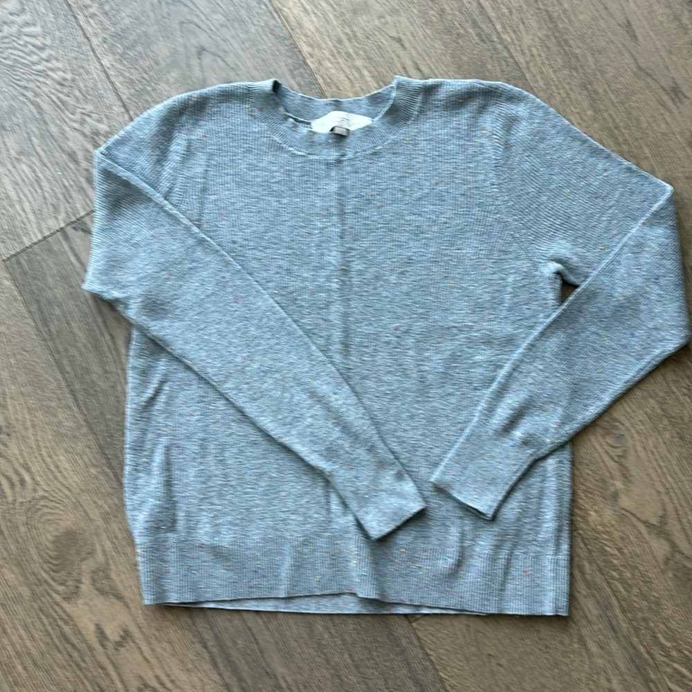 LOFT Speck Sweater